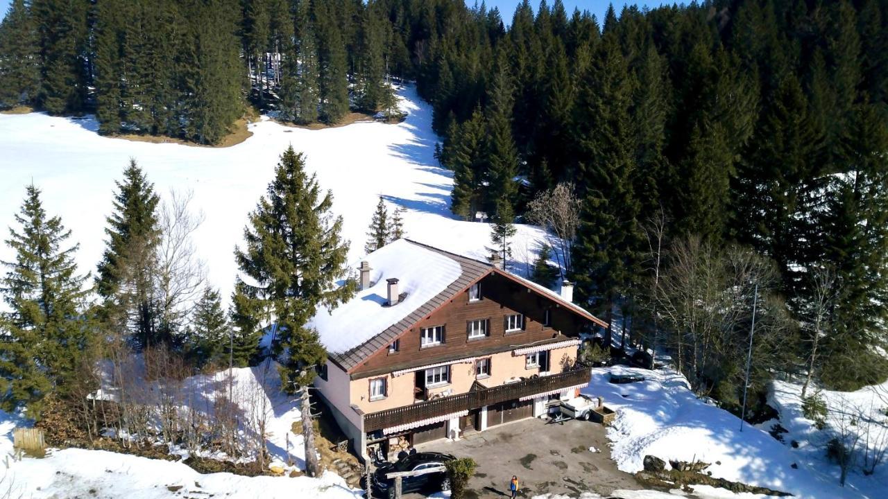 Saentisecho - In Der Natur Zu Hause Urnäsch Екстериор снимка